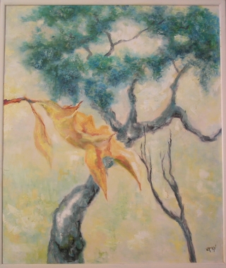 Young Jacaranda's Prayer