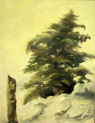 Cheeky Pine