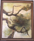 001. 75X90 Bird's Nest