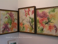 bougainvillia