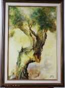a tree tells a tale