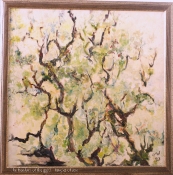 Tangled oak